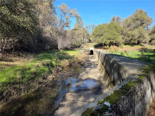 a view of a yard with plants and a bench