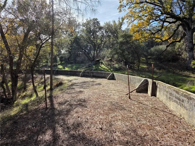 a house that has a tree in it
