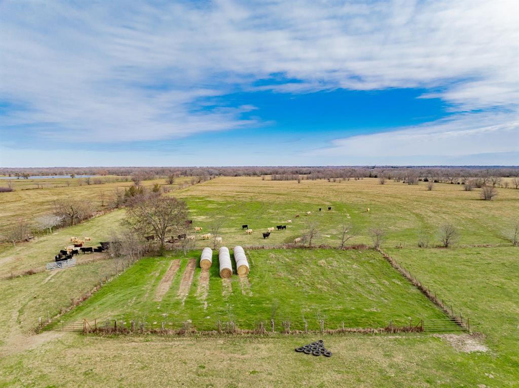 352 Rs County Road 1605 Point, TX 75472 - Photo 35 of 37