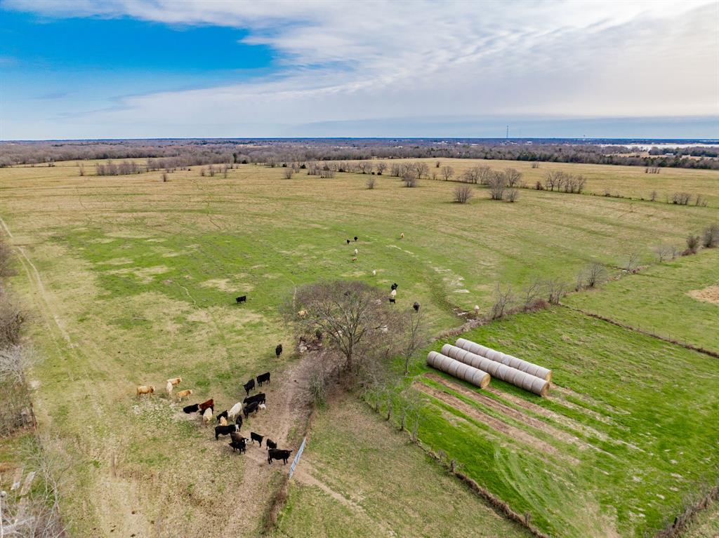 352 Rs County Road 1605 Point, TX 75472 - Photo 36 of 37