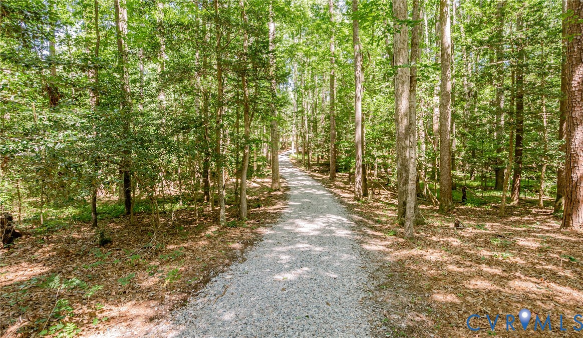 16110 Rowlett Road Chesterfield, VA 23838 - Photo 32 of 40 Driveway