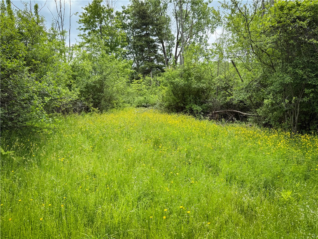 5401 Old Bath Road Barrington, NY 14837 - Photo 19 of 50