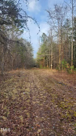 a fire hydrant in the middle of a field