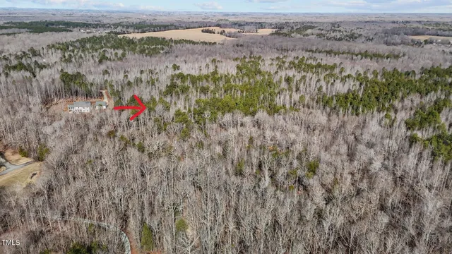 a view of a yard with a lush green forest