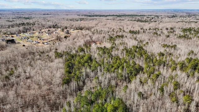 a view of a dry yard