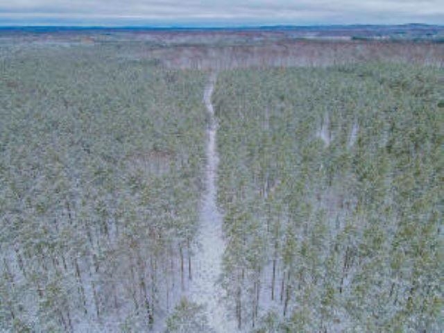 28 East 28 1/4 Road Cadillac, MI 49601 - Photo 5 of 6