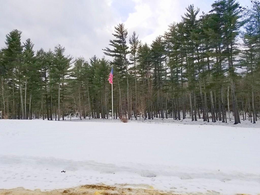 490 Phillips Road Weld, ME 04285 - Photo 30 of 35 Yard