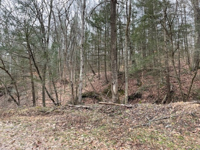 0 Dry Brook Road Owego, NY 13827 - Photo 1 of 7 Gallery Image 1