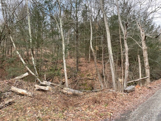 0 Dry Brook Road Owego, NY 13827 - Photo 2 of 7 Gallery Image 2