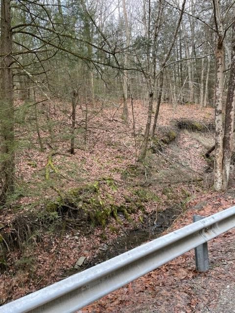 0 Dry Brook Road Owego, NY 13827 - Photo 3 of 7 Gallery Image 3