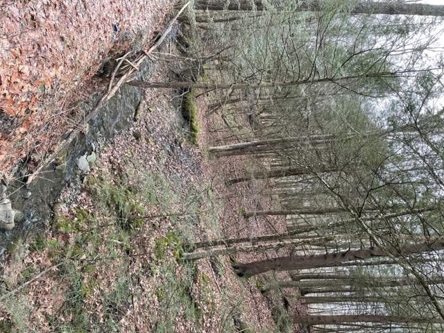 0 Dry Brook Road Owego, NY 13827 - Photo 4 of 7 Gallery Image 4