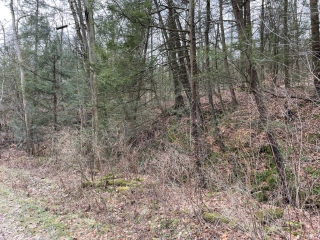 0 Dry Brook Road Owego, NY 13827 - Photo 5 of 7 Gallery Image 5