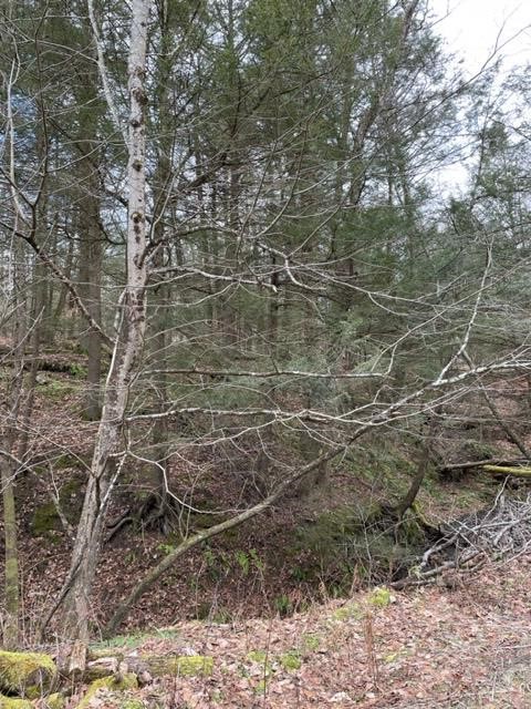 0 Dry Brook Road Owego, NY 13827 - Photo 6 of 7 Gallery Image 6
