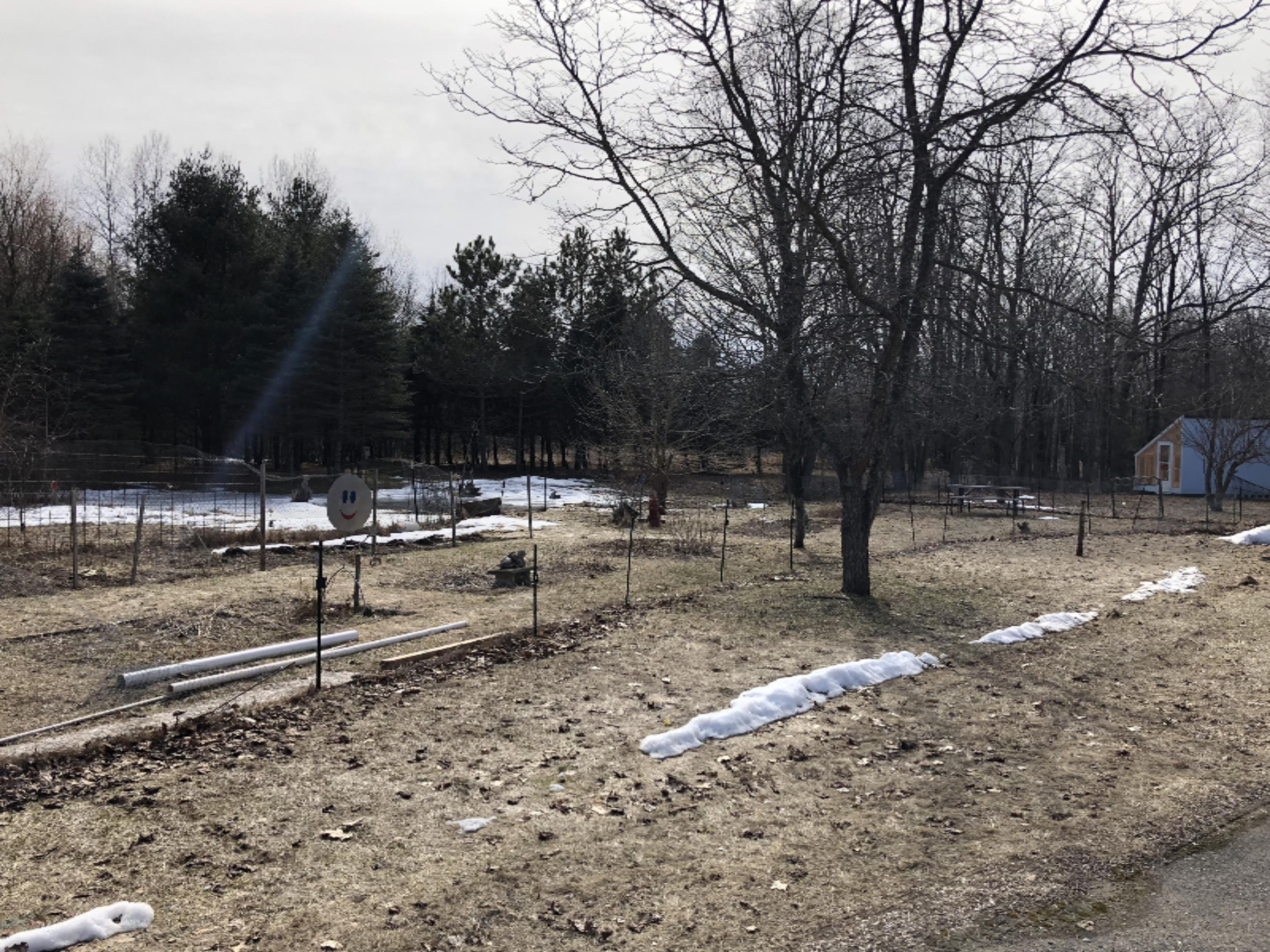 13151 Kerry Road Brethren, MI 49619 - Photo 23 of 35 IMG_9492