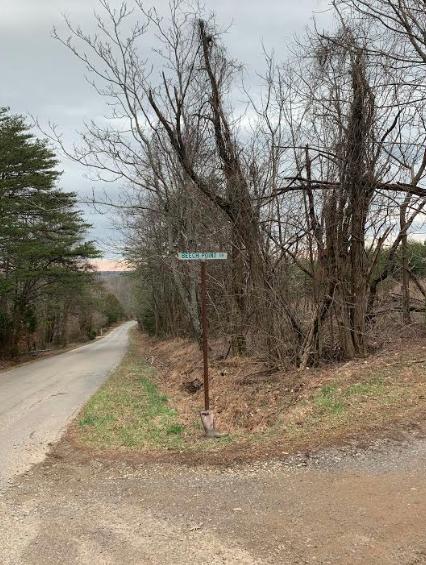 Tract C Horseshoe Point Road Henry, VA 24102 - Photo 5 of 15 a view of road and with trees