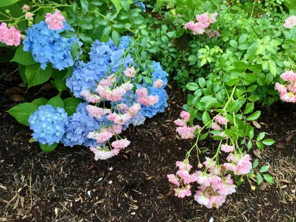 $848,000 | 121 Eileen Street, Yarmouth Port, MA 02675