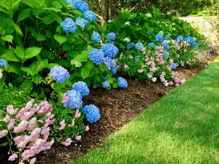 $848,000 | 121 Eileen Street, Yarmouth Port, MA 02675