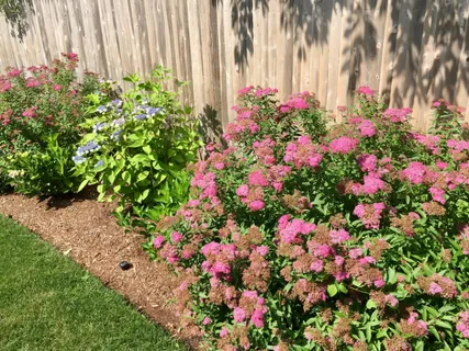 $895,000 | 121 Eileen Street, Yarmouth Port, MA 02675