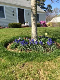 a kitchen with a sink window and cabinets
