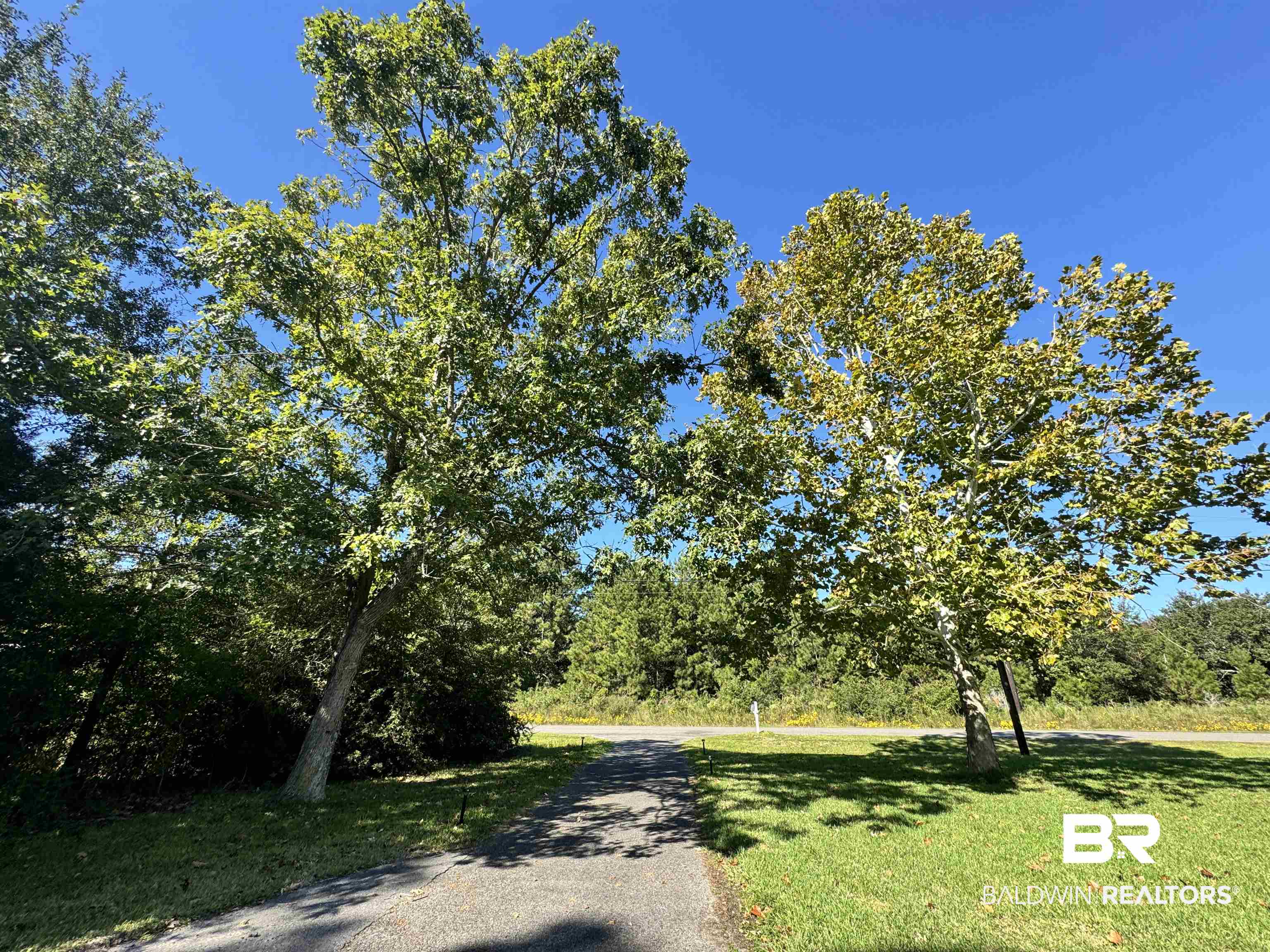 14313 Hemley Road Coden, AL 36523 - Photo 29 of 44 View of road