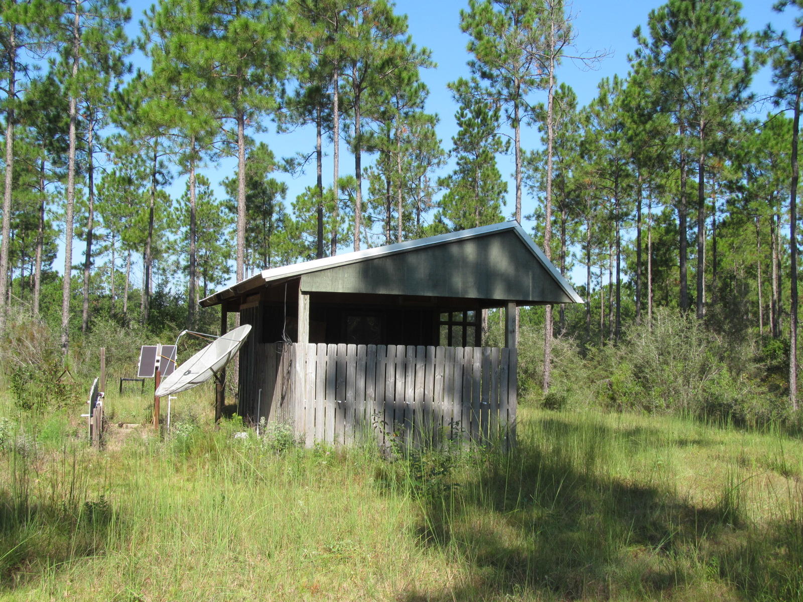 yard building pic 2