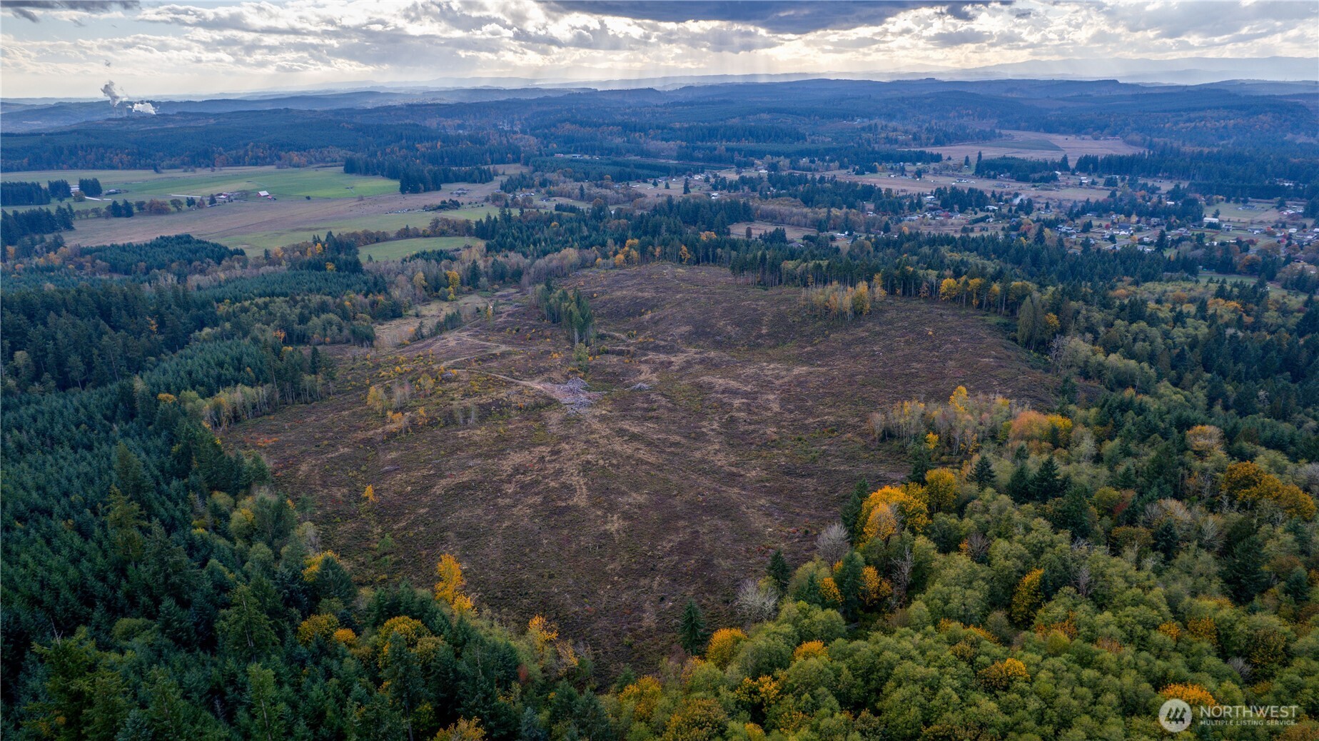 a view of a yard with an outdoor space