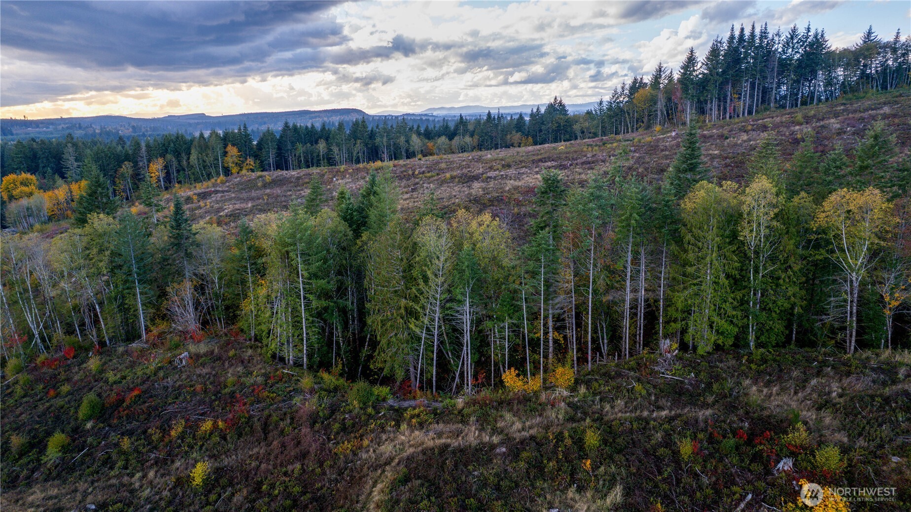 17942 Northcraft Road Southeast Tenino, WA 98589 - Photo 12 of 27 a view of a back yard