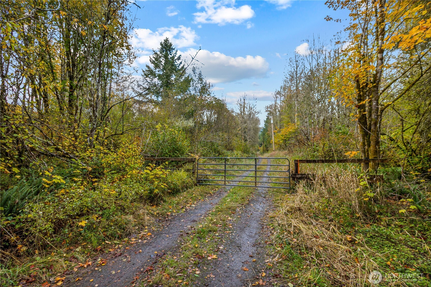17942 Northcraft Road Southeast Tenino, WA 98589 - Photo 14 of 27 a view of a yard with wooden fence