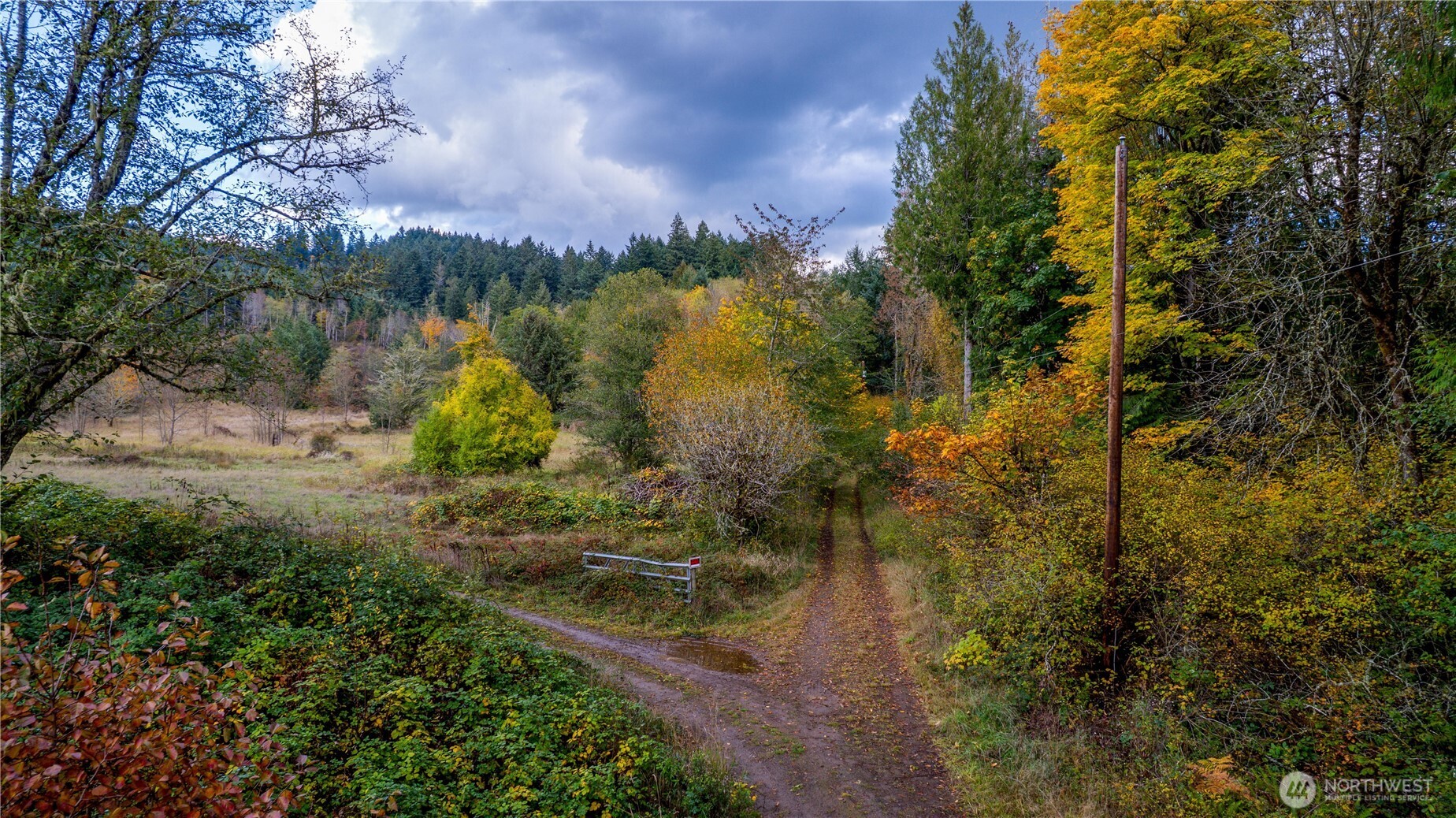 17942 Northcraft Road Southeast Tenino, WA 98589 - Photo 15 of 27 a view of a lake with a house in background
