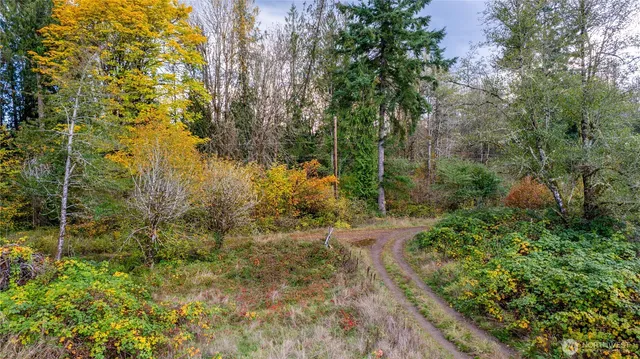 a view of a small yard