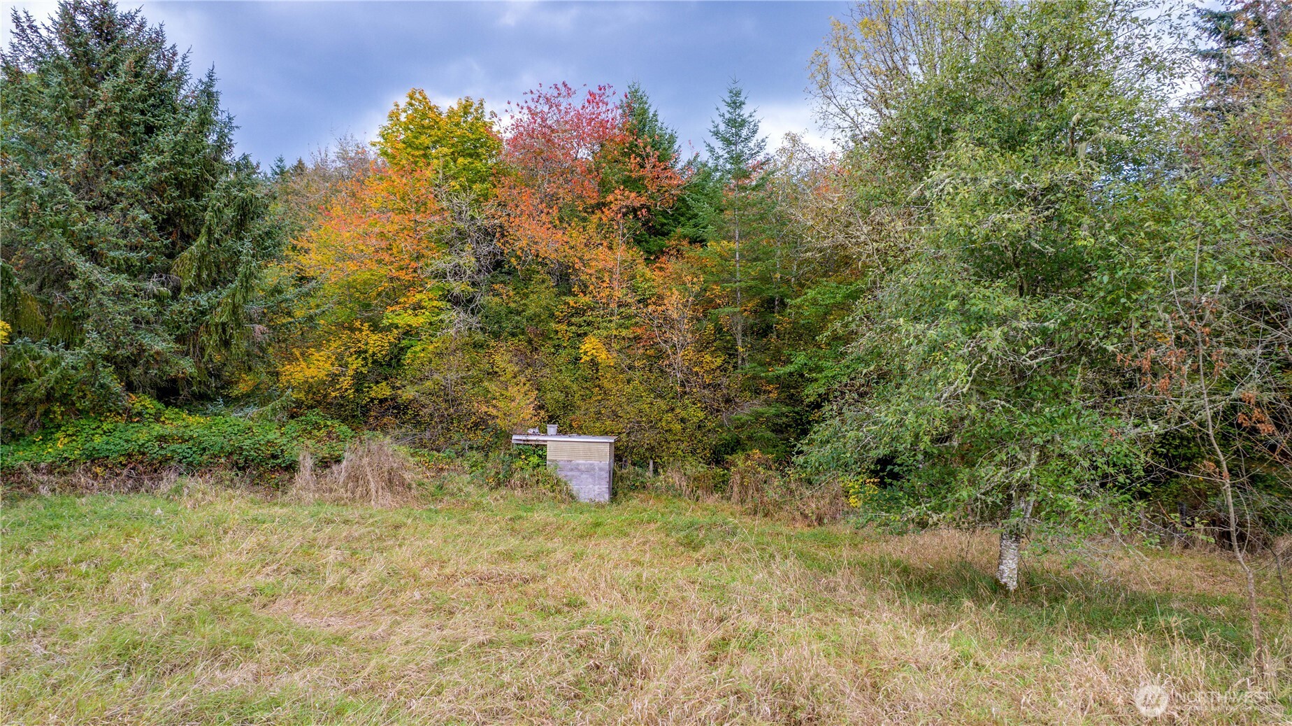 17942 Northcraft Road Southeast Tenino, WA 98589 - Photo 18 of 27 a view of a outdoor space and a yard