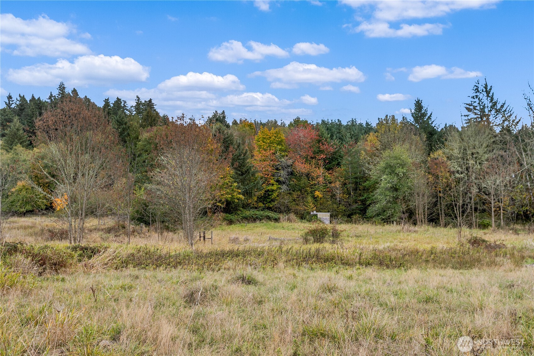 17942 Northcraft Road Southeast Tenino, WA 98589 - Photo 19 of 27 a view of a field with trees in the background