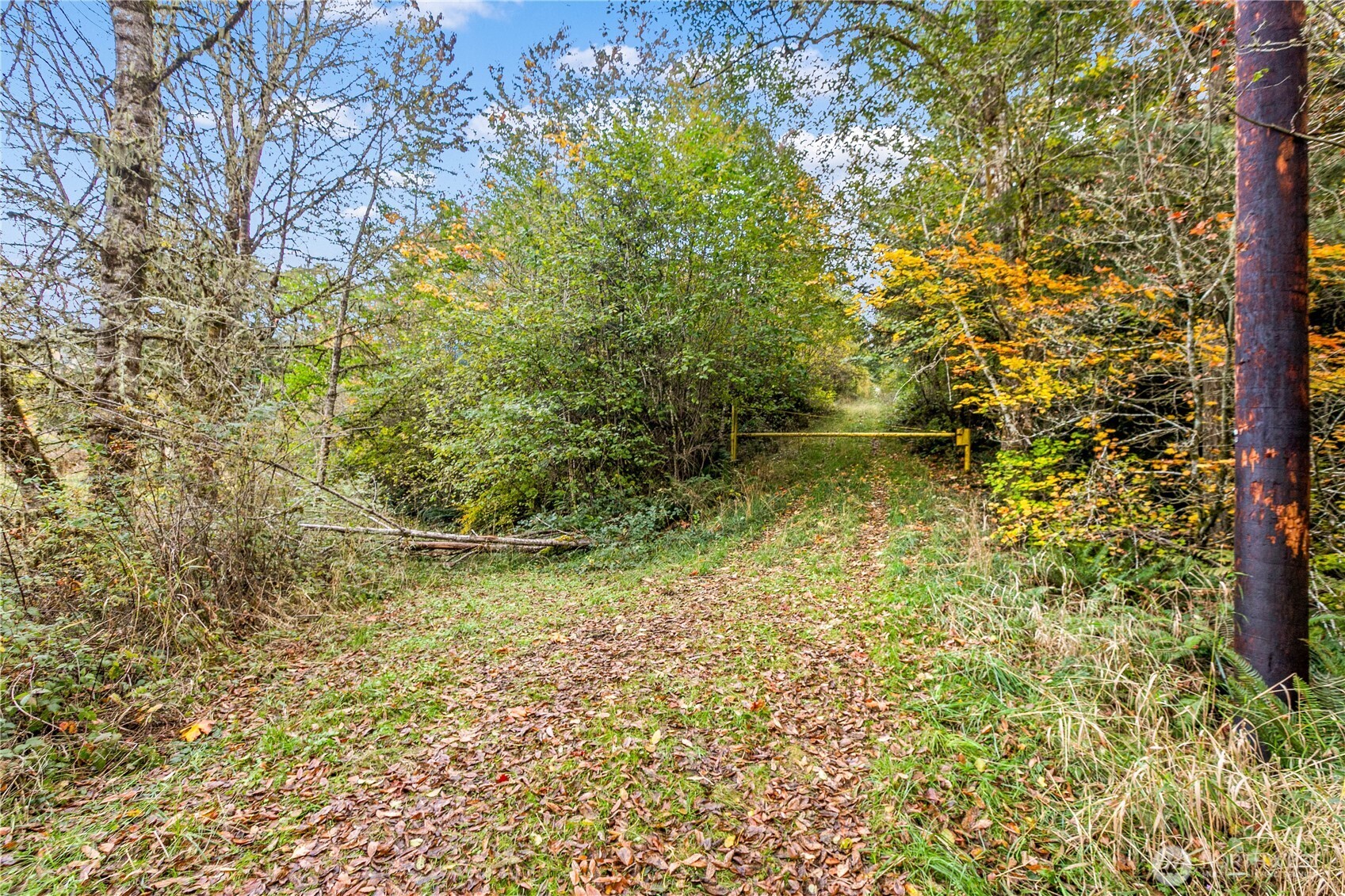 17942 Northcraft Road Southeast Tenino, WA 98589 - Photo 20 of 27 a view of a small yard