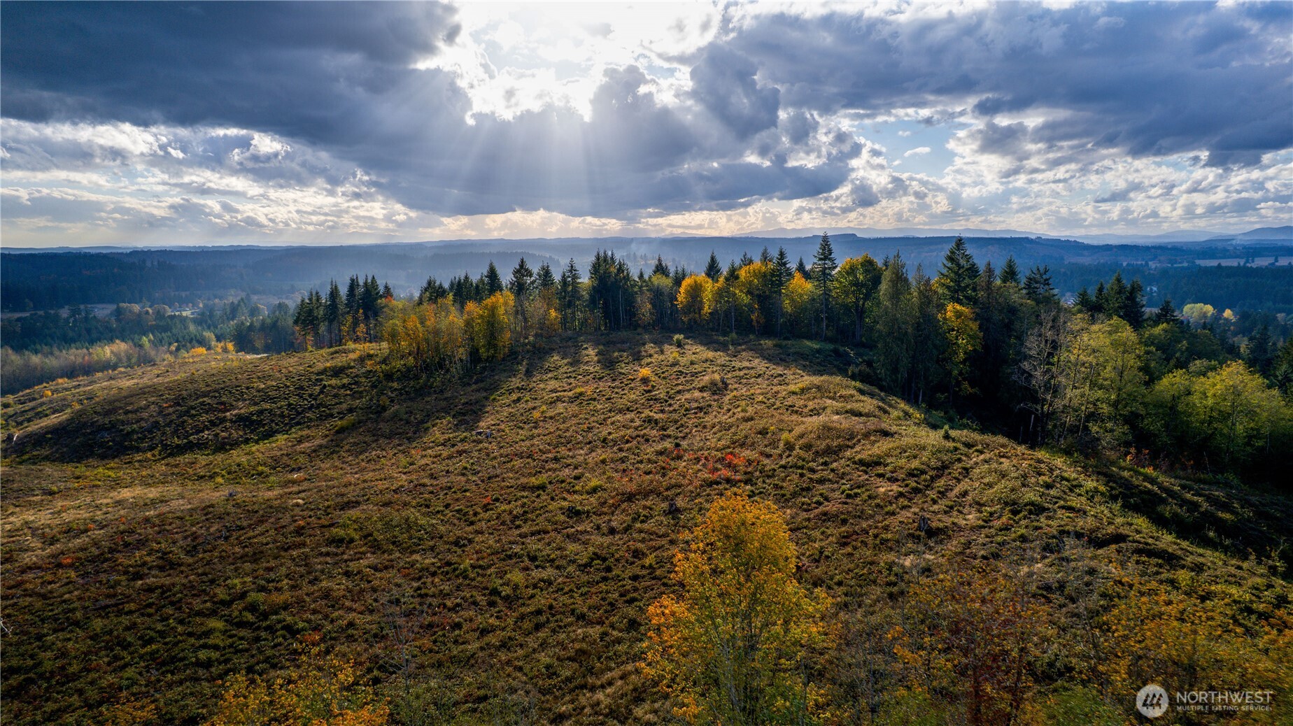 17942 Northcraft Road Southeast Tenino, WA 98589 - Photo 21 of 27 a view of a lake with a mountain in the background
