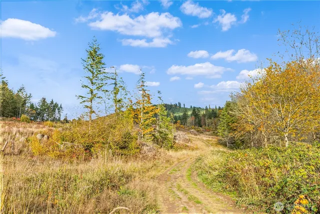 $849,990 | 17942 Northcraft Road Southeast, Tenino, WA 98589