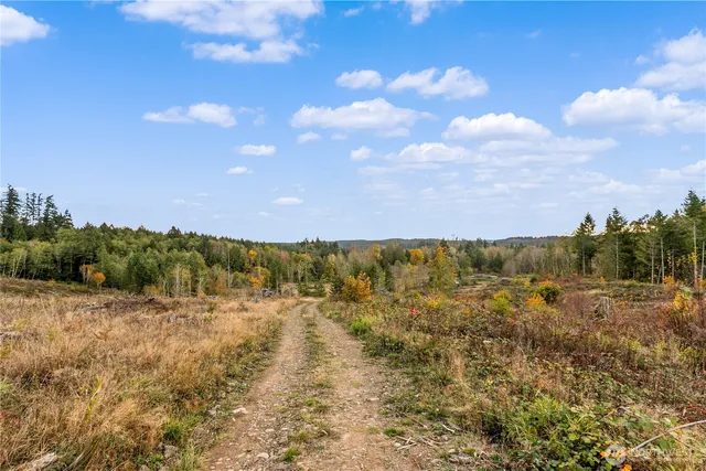 $849,990 | 17942 Northcraft Road Southeast, Tenino, WA 98589