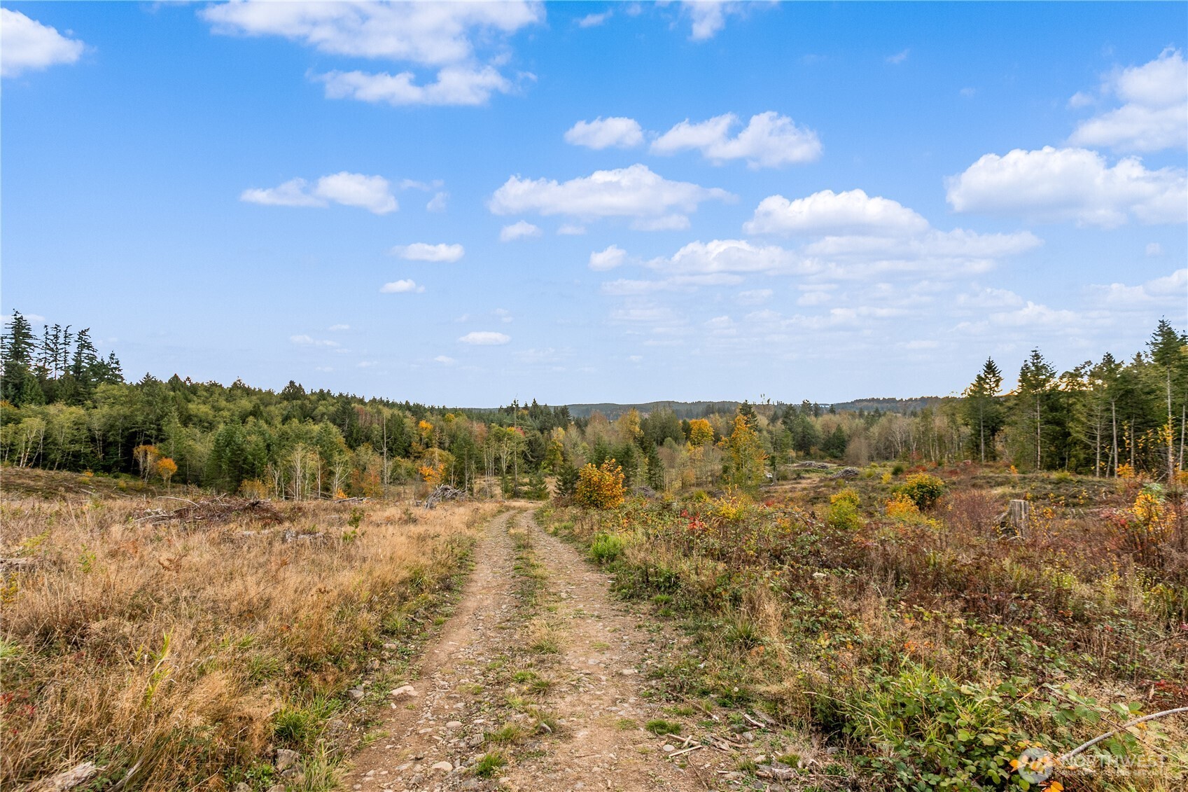 17942 Northcraft Road Southeast Tenino, WA 98589 - Photo 23 of 27 a view of mountain