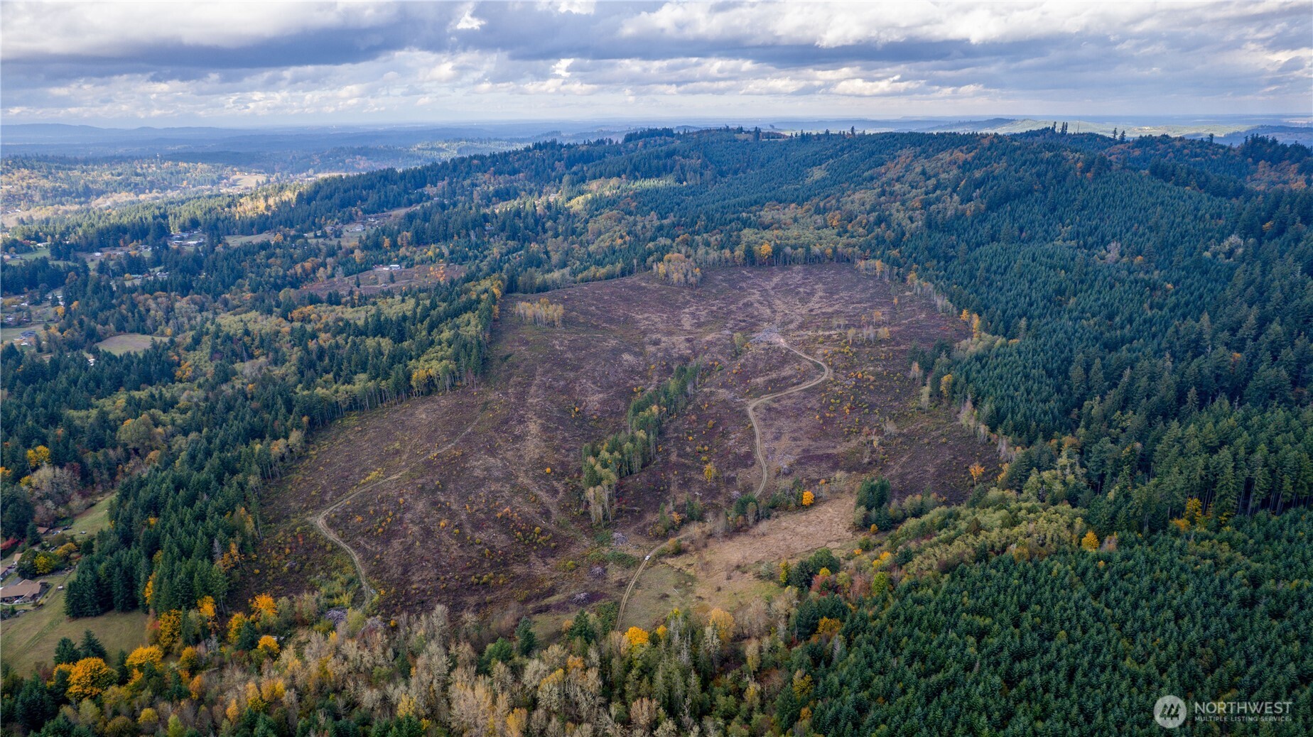 17942 Northcraft Road Southeast Tenino, WA 98589 - Photo 26 of 27 a view of a dry yard