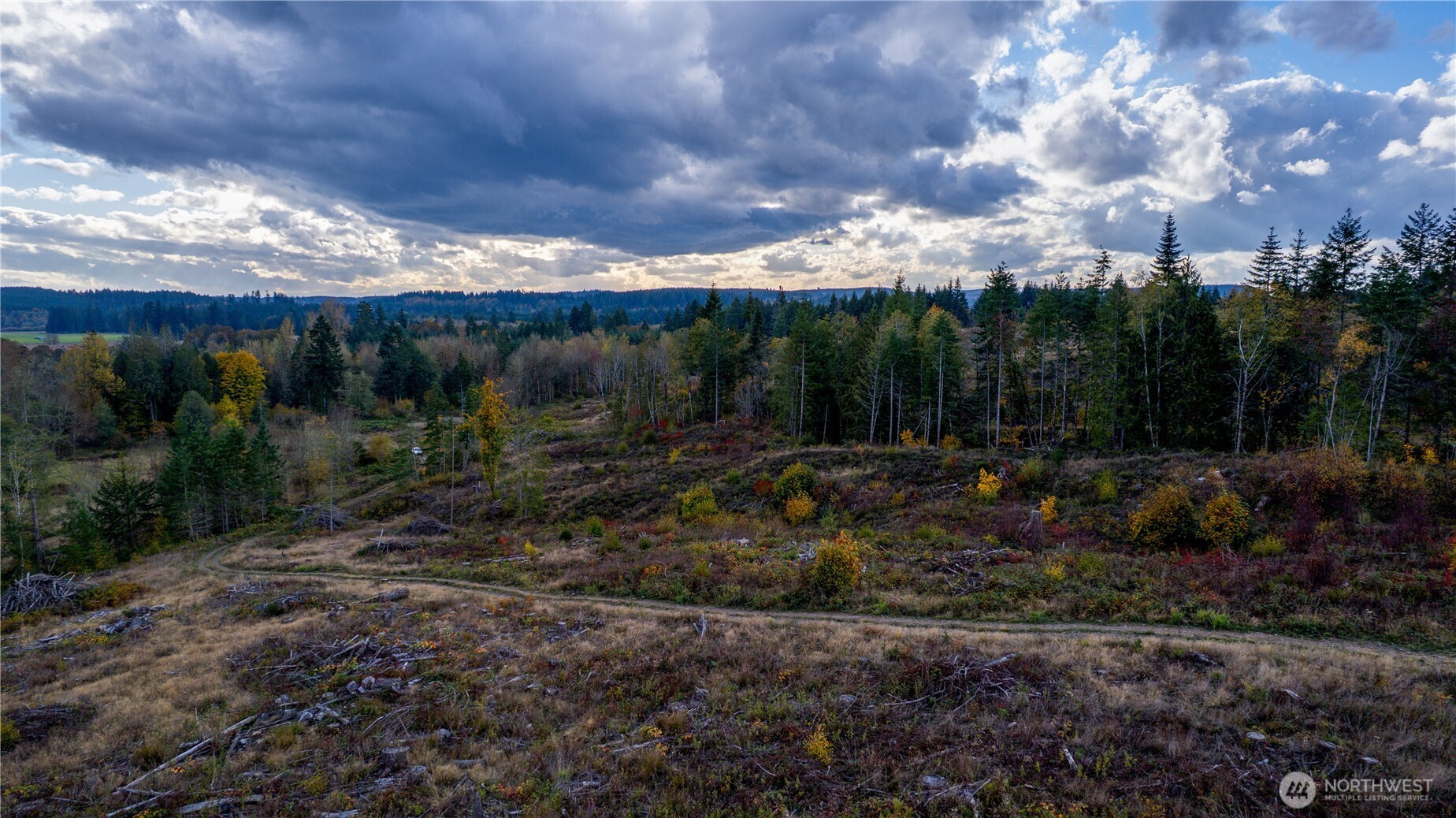 17942 Northcraft Road Southeast Tenino, WA 98589 - Photo 5 of 27 a view of outdoor space and outdoor space