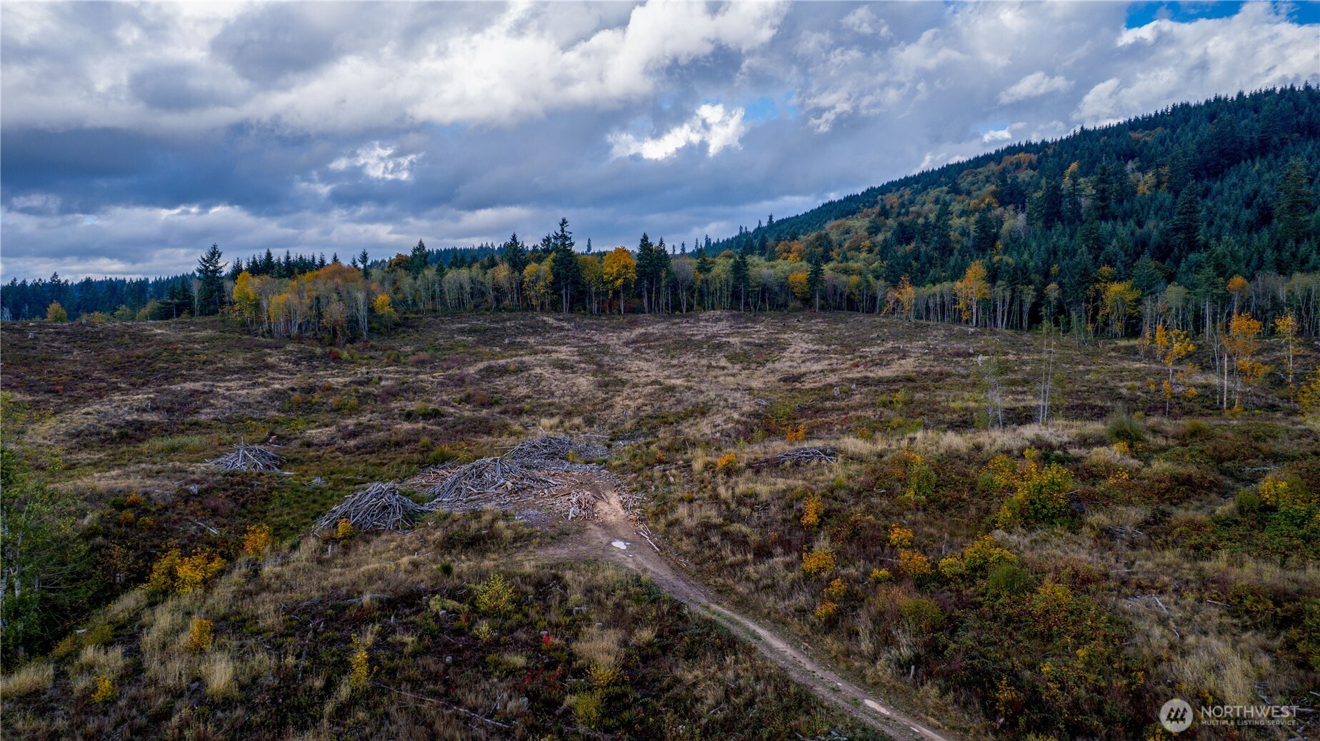 17942 Northcraft Road Southeast Tenino, WA 98589 - Photo 6 of 27
