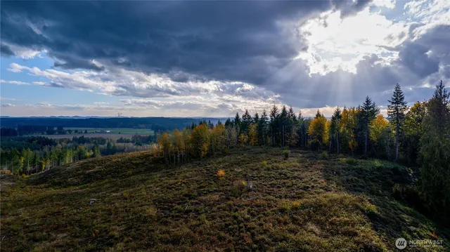 a view of a back yard