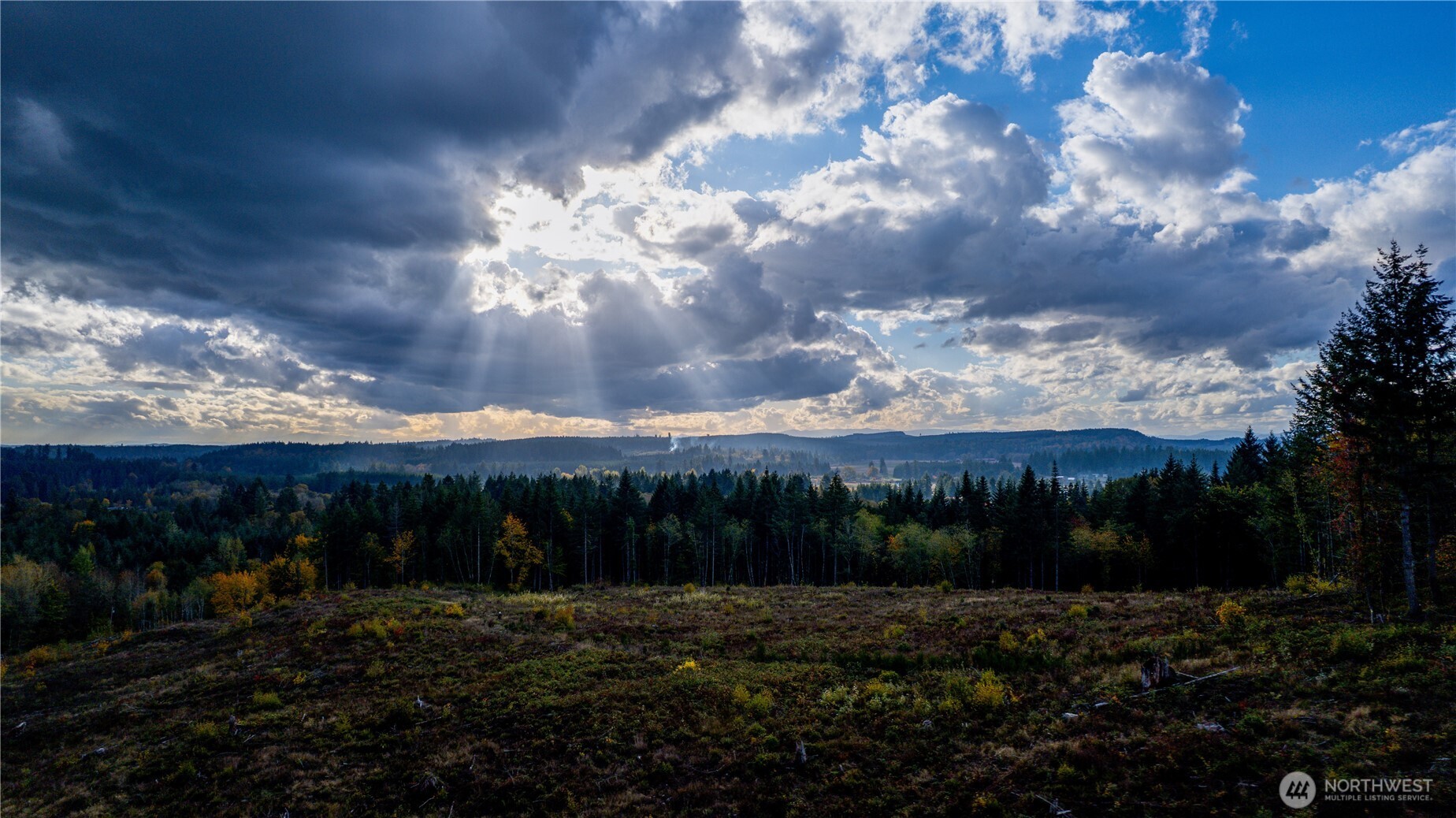 17942 Northcraft Road Southeast Tenino, WA 98589 - Photo 9 of 27 a view of a yard with plants and a lake view