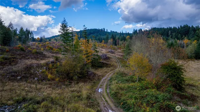 a view of a yard with wooden fence