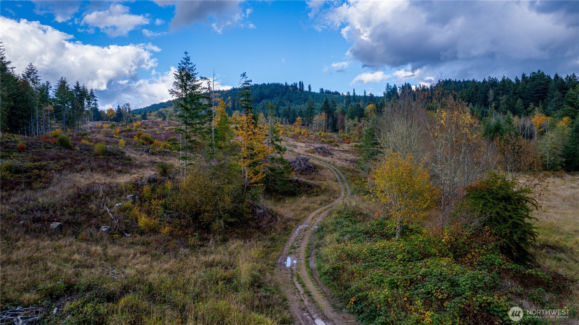 17942 Northcraft Road Southeast Tenino, WA 98589 - Photo 10 of 27 a view of lake with green space