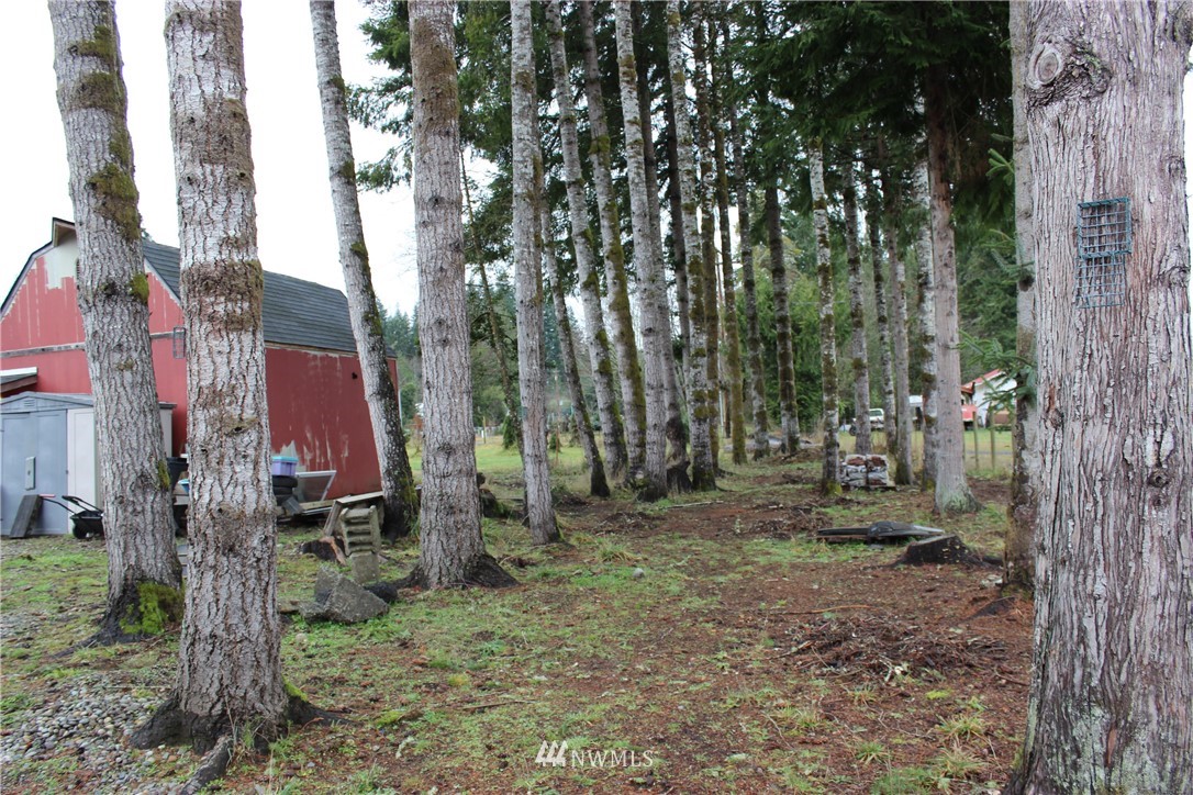 29 South Bank Road Elma, WA 98541 - Photo 21 of 28 Gallery Image 21