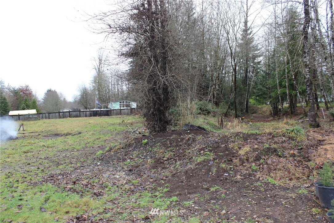 29 South Bank Road Elma, WA 98541 - Photo 28 of 28 Gallery Image 28