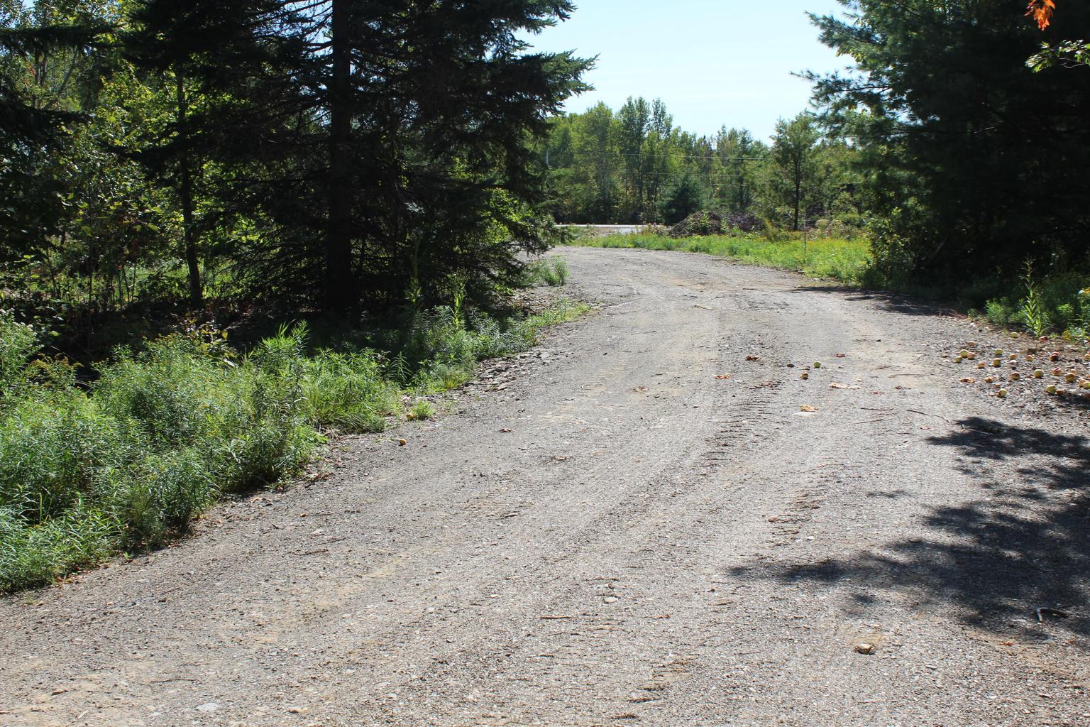 416 Woodbridge Corner Road Sherman, ME 04776 - Photo 11 of 18 picutes for 416