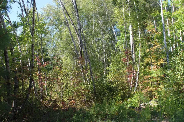 $110,000 | 416 Woodbridge Corner Road, Sherman, ME 04776