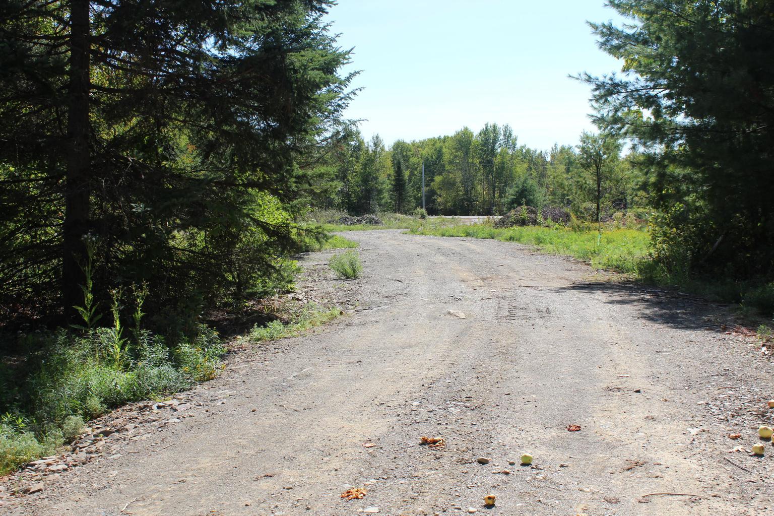 416 Woodbridge Corner Road Sherman, ME 04776 - Photo 2 of 18 back to lot