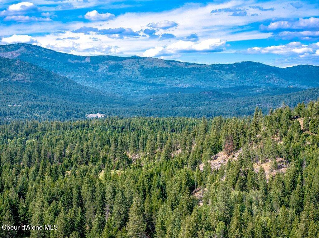 149 Idyllwild Road Sagle, ID 83860 - Photo 37 of 39 --65.jpg-SMALL
